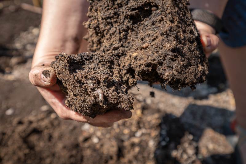 A grower holding a clump of dark, healthy soil